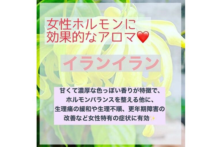 イランイラン