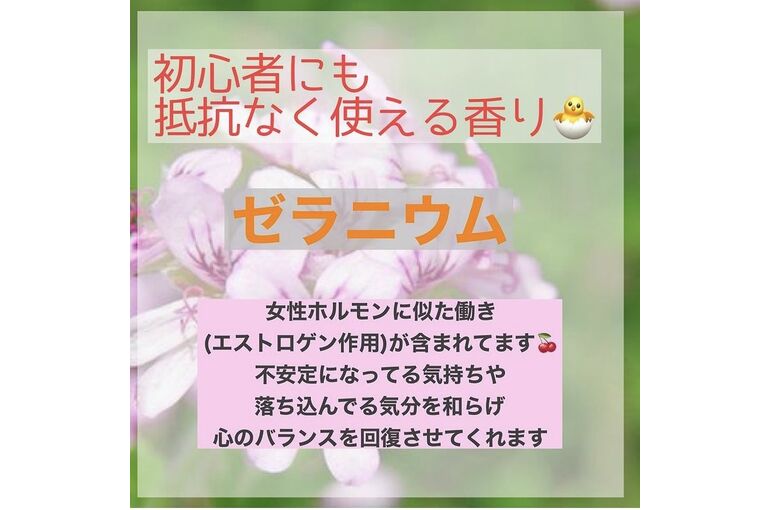 image0[3542]