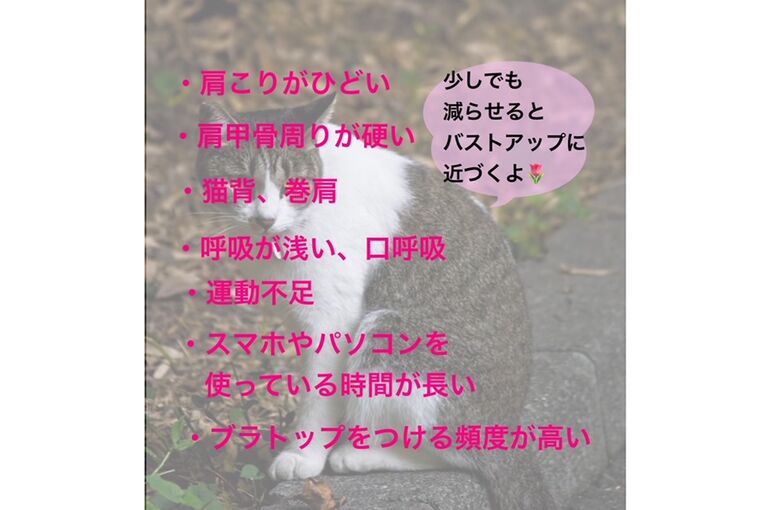 2021 ぶろぐ２
